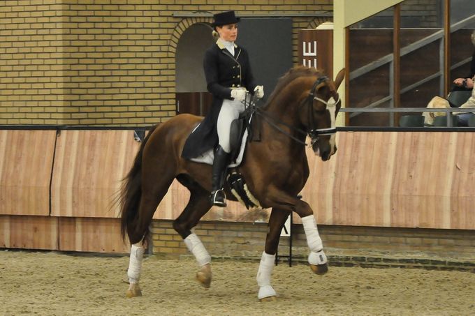 Foto : Theo Janssen