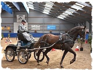 Ultimo in kegel parcours
