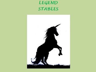 Atze is gefokt bij Legend Stables