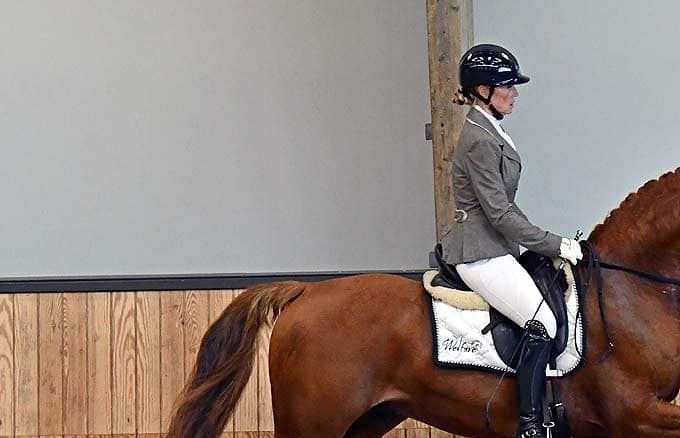 Odeer (Atze x Talos) - bij aanbod KWPN verrichtingsonderzoek Gelders Paard